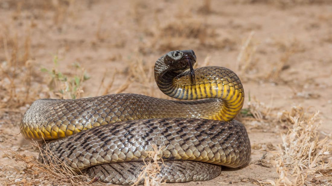 Ken Griffiths/iStock via Getty Images