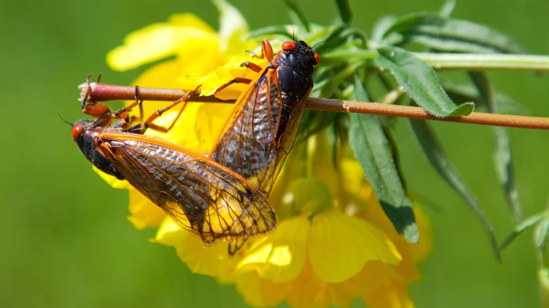 mmonia/iStock via Getty Images