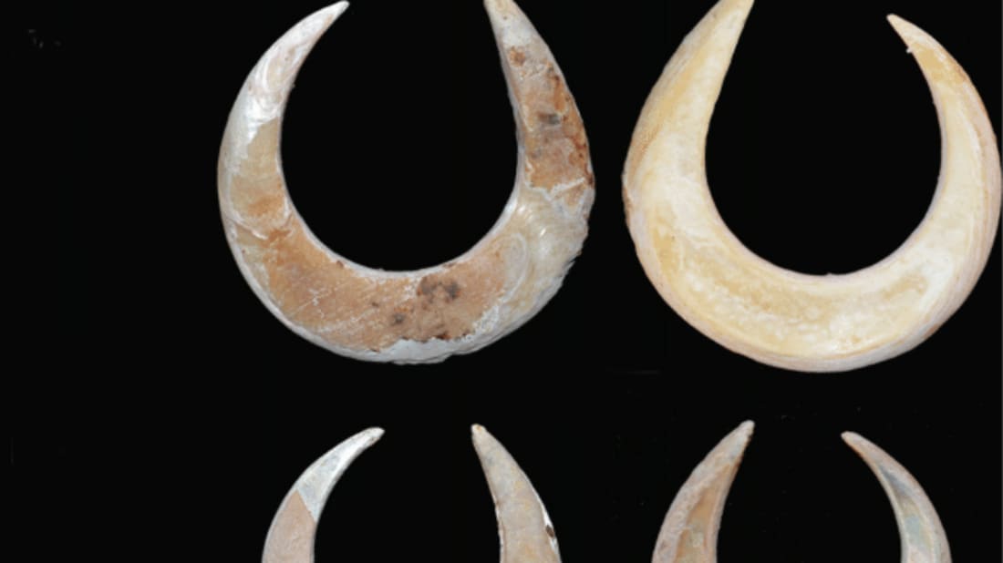 Photograph by Sofía Samper Carro. "Fishing in life and death: Pleistocene fish-hooks from a burial co<em></em>ntext on Alor Island, Indonesia," Antiquity, Sue O’Connor, Mahirta, Sofía C. Samper Carro, Stuart Hawkin, Shimona Kealy, Julien Louys and Rachel Wood.