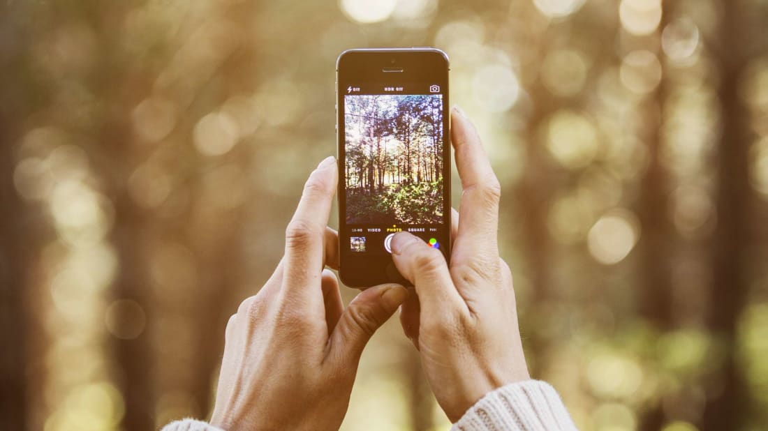 Morsa Images/iStock via Getty Images