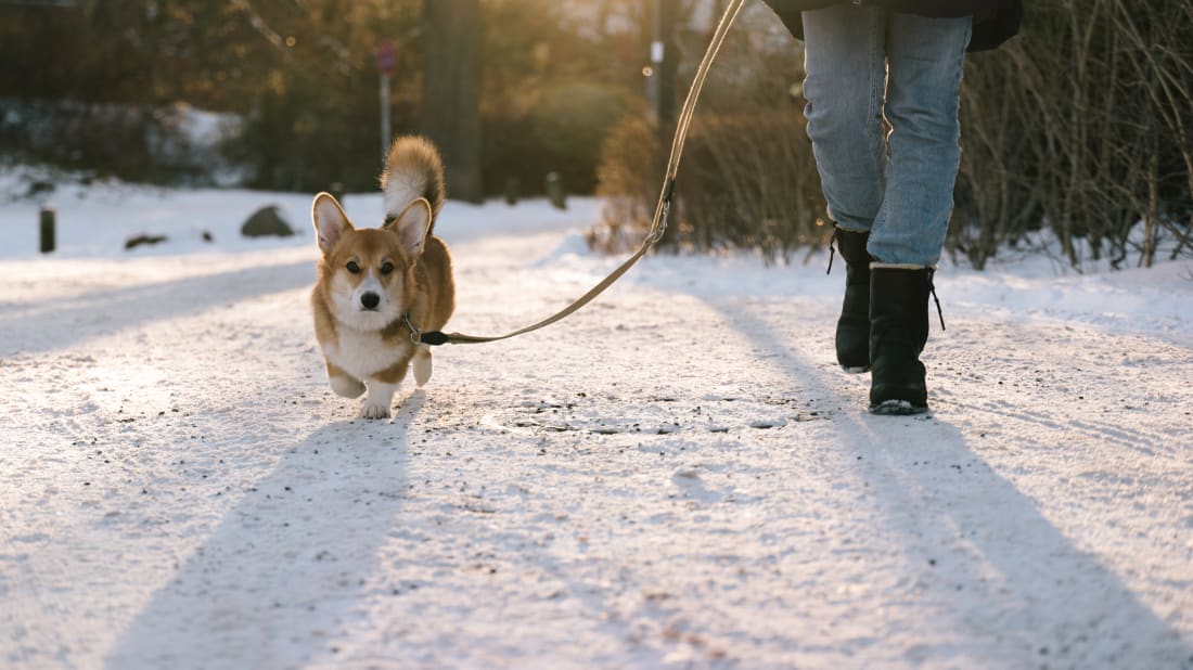 fotografixx/iStock via Getty Images