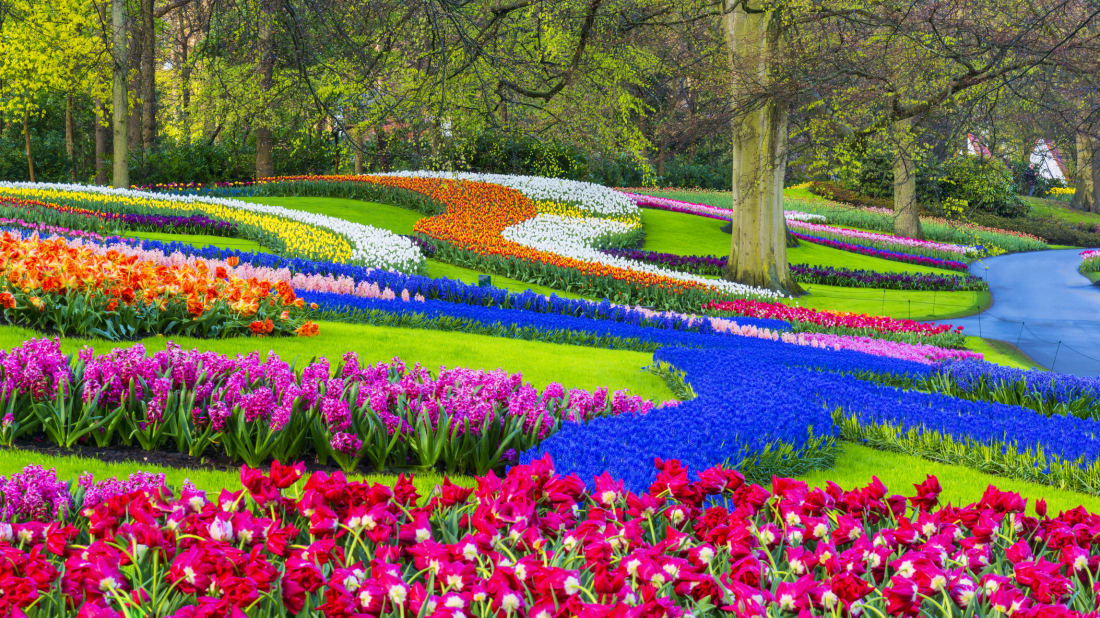 Keukenhof in Lisse, Netherlands.