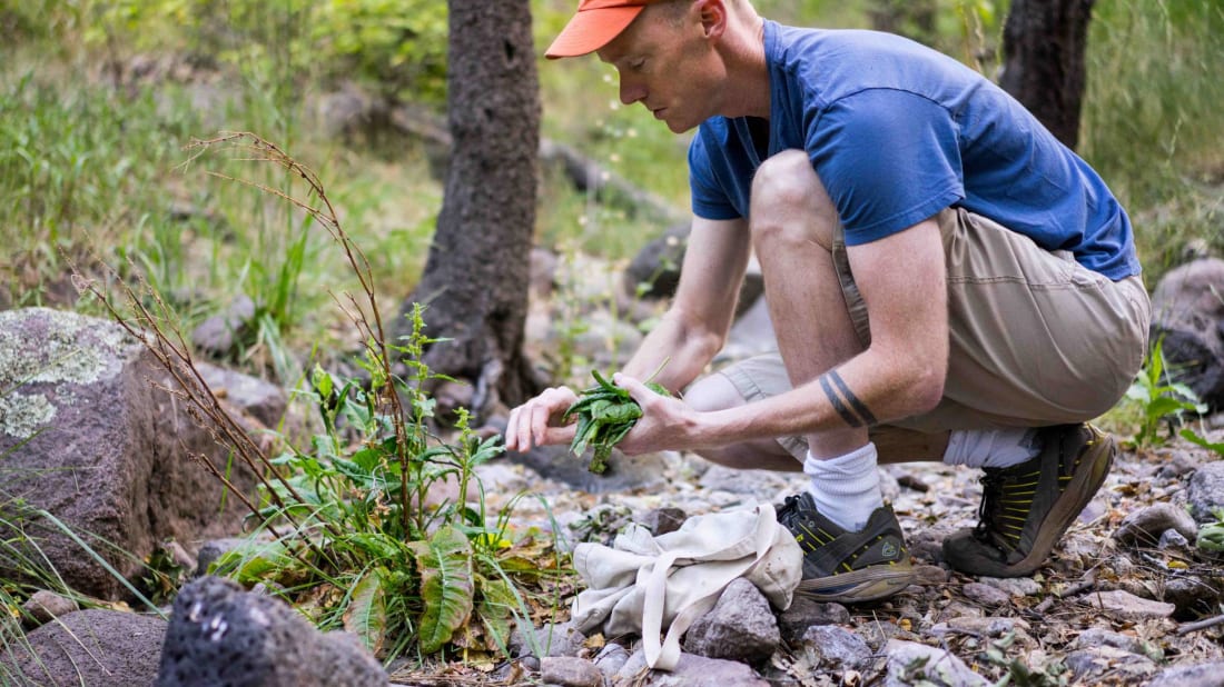 Rob Co<em></em>nnoley forages for plants.