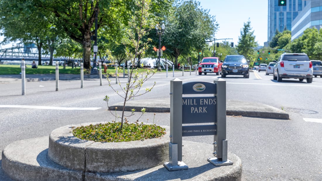 A photograph of Portland, Oregon's Mill Ends Park—the world's smallest park.
