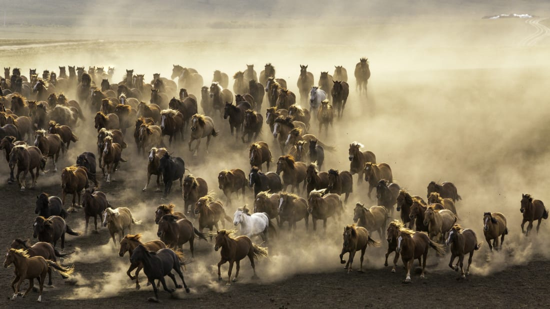 iStock.com / SarahWouters1960