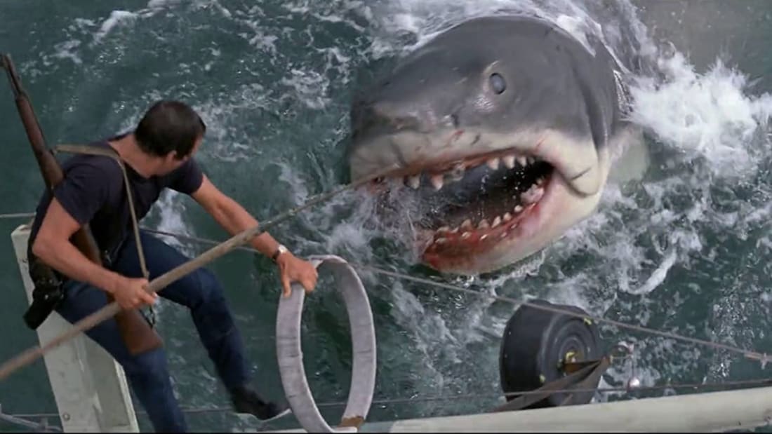 Roy Scheider is go<em></em>nna need a bigger boat in Steven Spielberg's Jaws (1975).