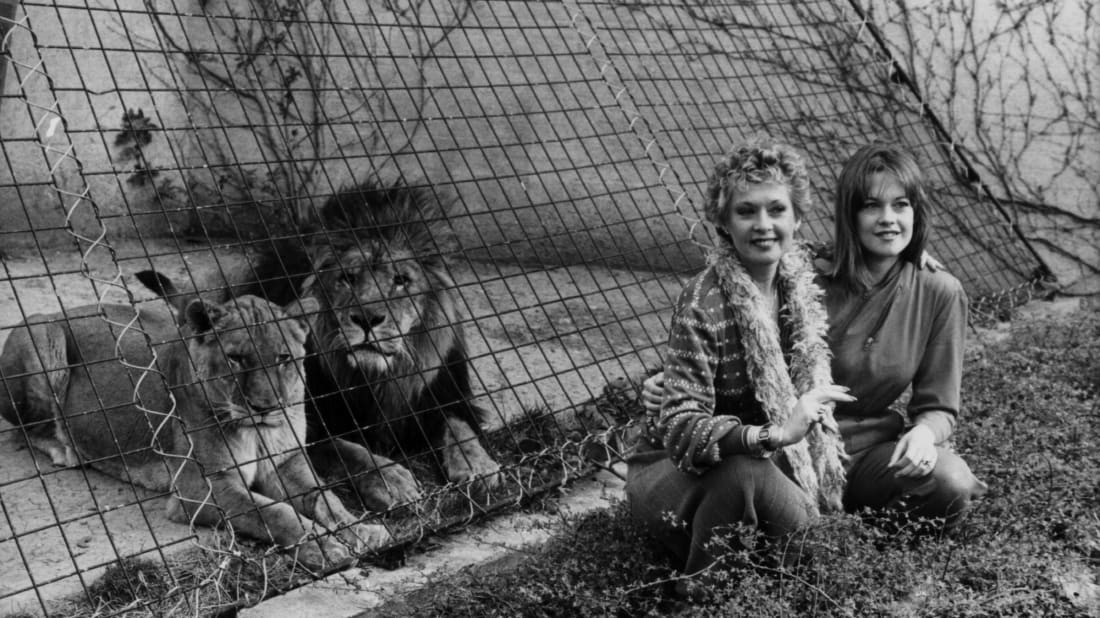 Tippi Hedren and Melanie Griffith with a couple of cool cats in 1982.