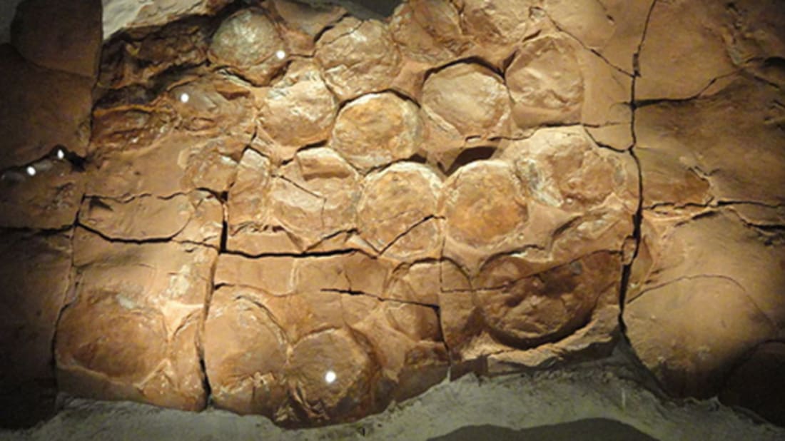 Dinosaur nest found in South Africa, Daderot via Wikimedia Commons // CC0&nbsp;1.0