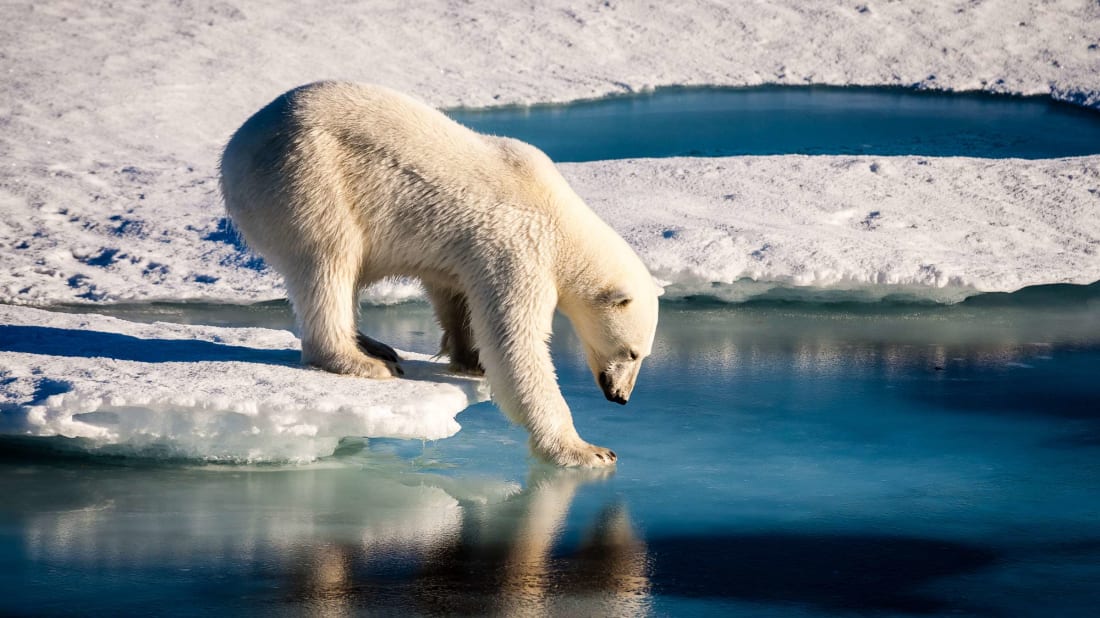 Mario_Hoppmann/iStock via Getty Images