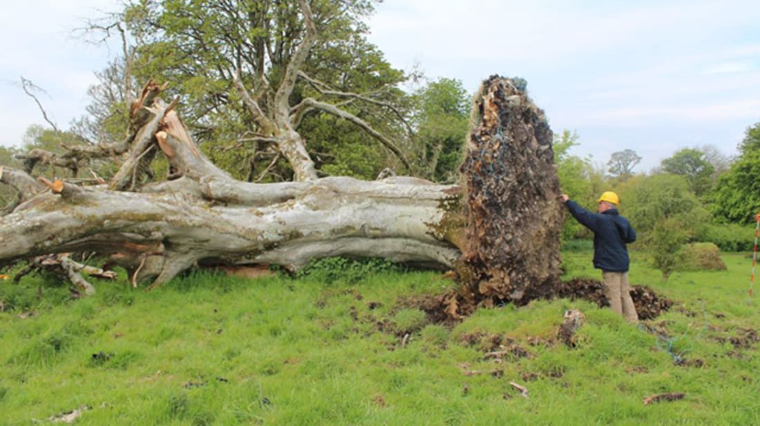 Sligo-Leitrim Archaeological Services via Facebook