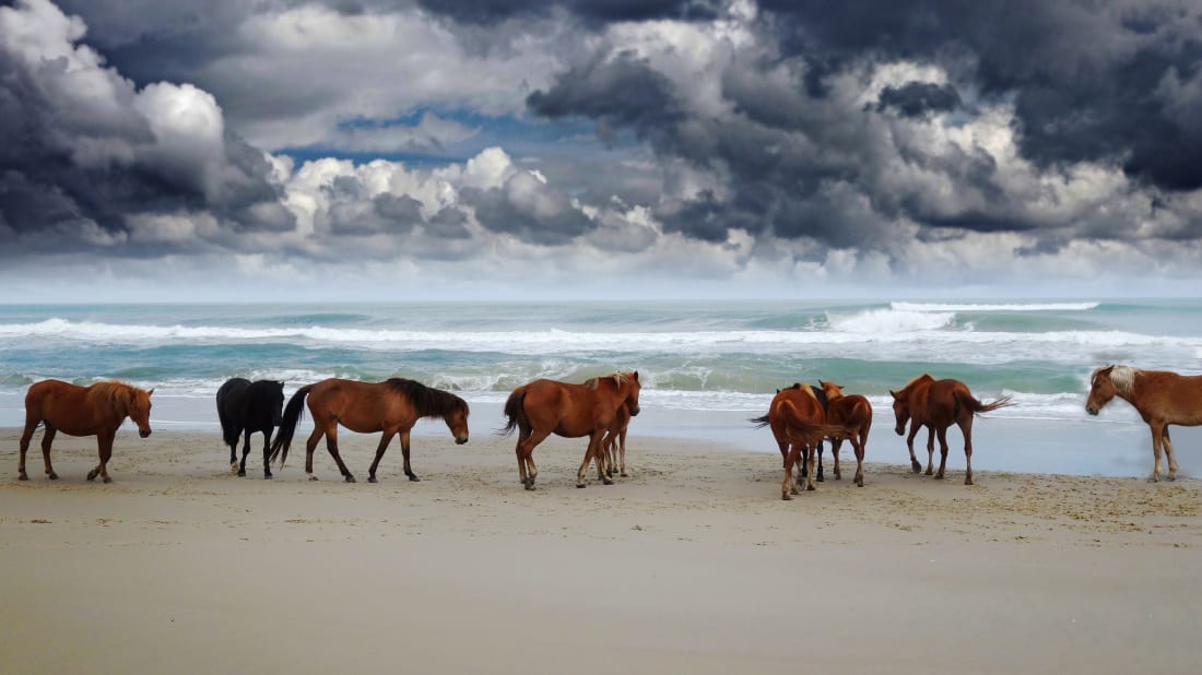 zimmytws/iStock via Getty Images