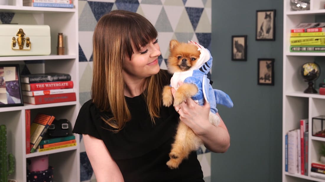 Simba, the world's most adorable Pomeranian, hosts The List Show. Some enamored human being helps … we think her name is Erin McCarthy.