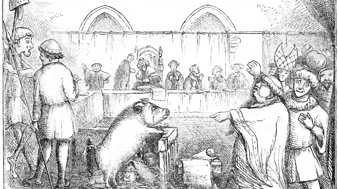 A pig is tried in France in 1457.