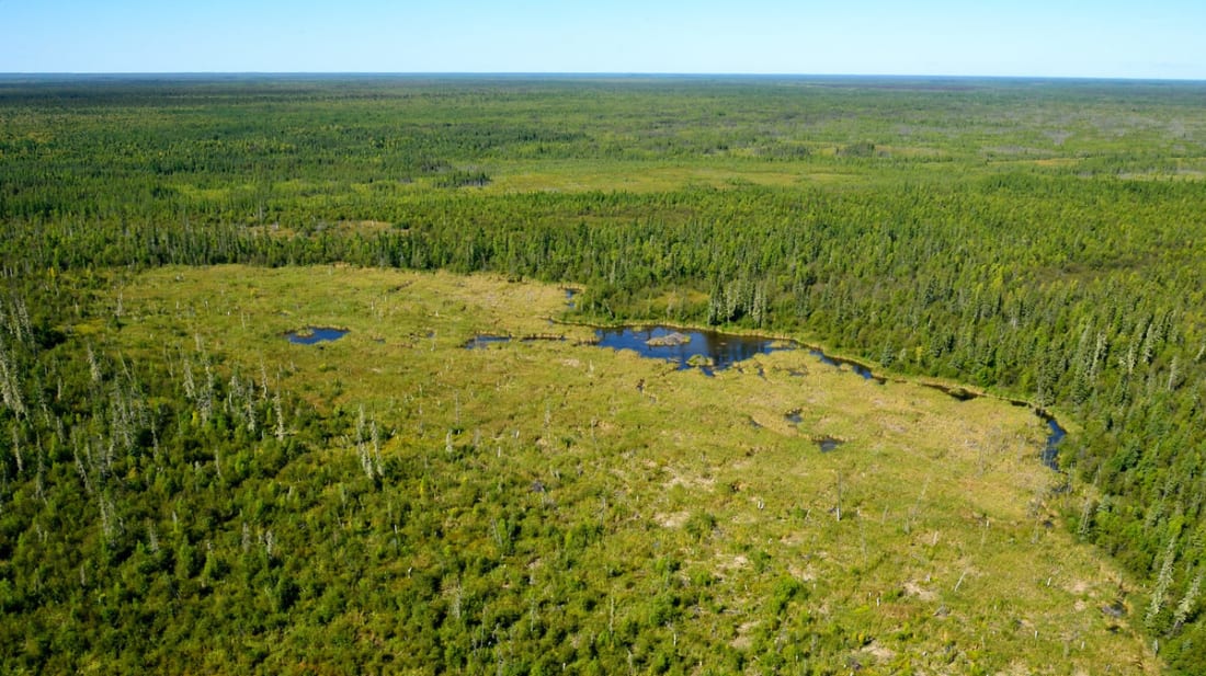 Photo Courtesy of Parks Canada