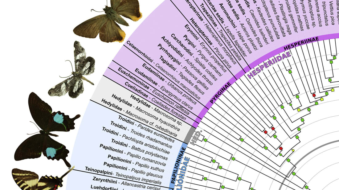 Espeland et al., Current Biology (2018)