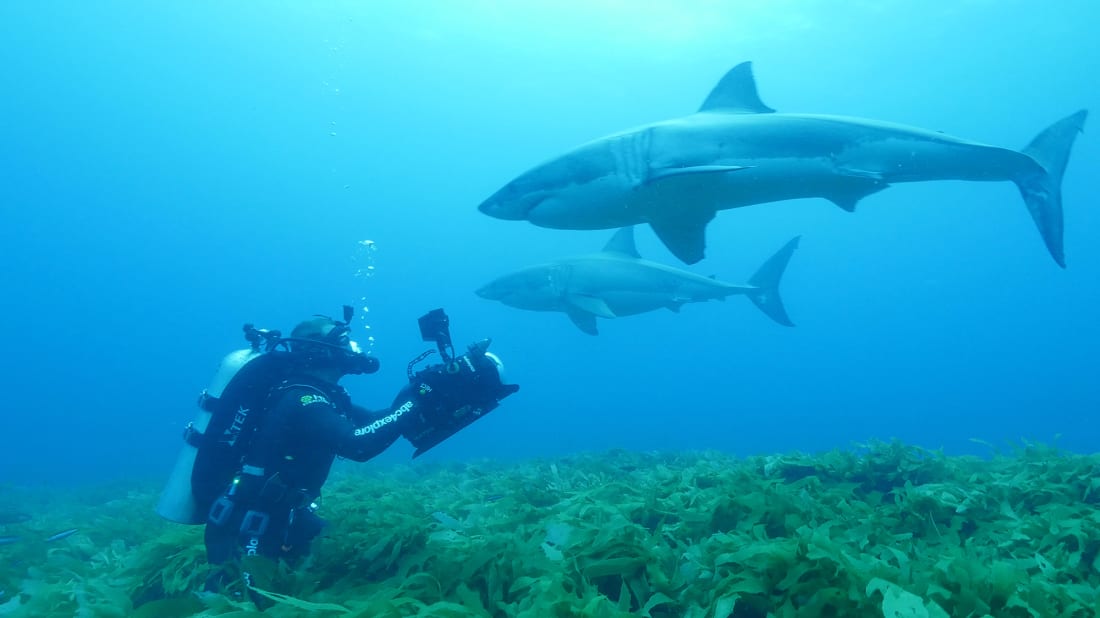 Andy Casagrande in Return to the Isle of Jaws