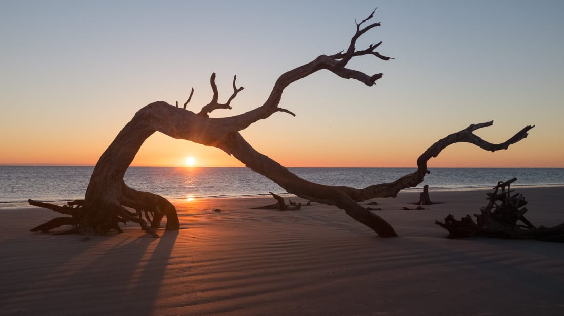 Driftwood Beach on Georgia's Jekyll Island 