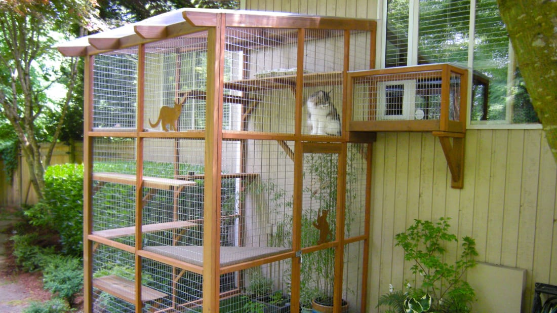 Catio Spaces