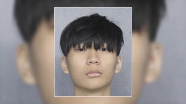 Lam allegedly used some of the stolen funds for lavish spending, including splurging hundreds of thousands of dollars per night at nightclubs in Los Angeles and Miami and buying luxury cars. — Picture from Broward County Sheriff’s Office