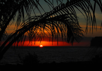 售价16.38万元起 新世代全顺Pro领潮上市