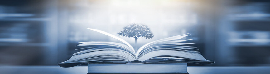 运算定律说课稿