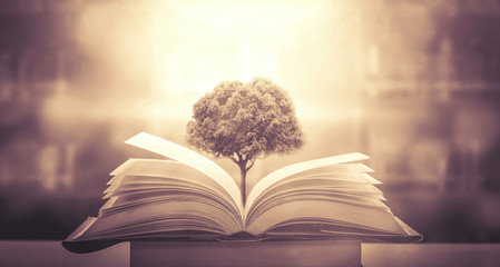 十代思域和十一代思域哪个好看