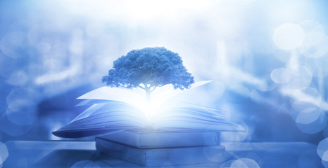 随心随性的精致唯美句子