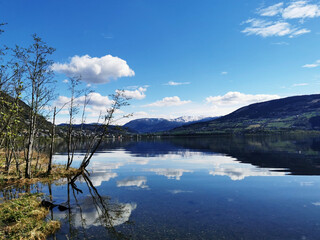 运算定律说课稿