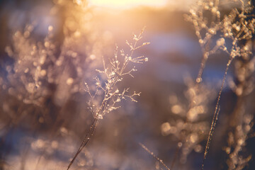 09款的铃木羚羊发动机怎么样