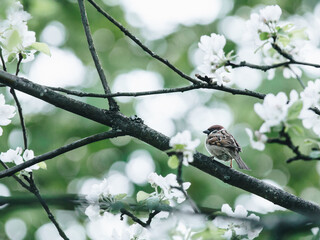 2一3万新能源小汽车