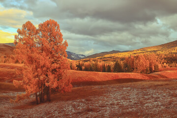 十代思域和十一代思域哪个好看