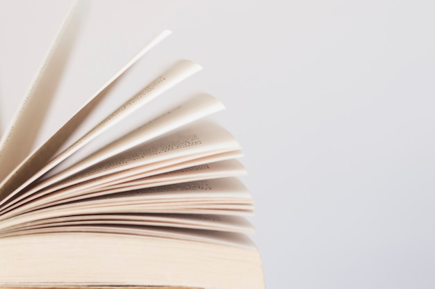 运算定律说课稿