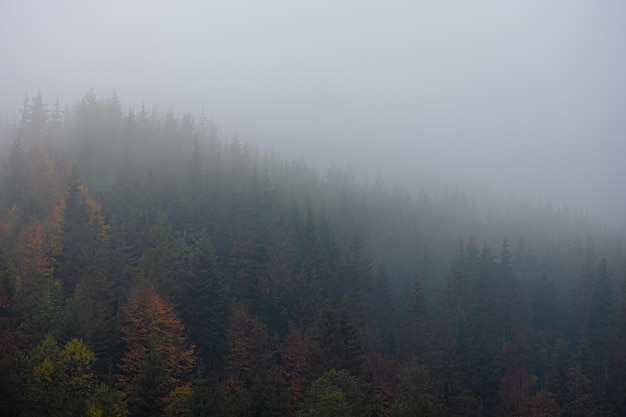 运算定律说课稿