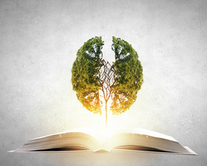 2一3万新能源小汽车