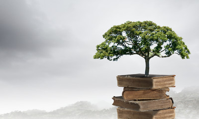 2一3万新能源小汽车