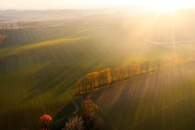 运算定律说课稿
